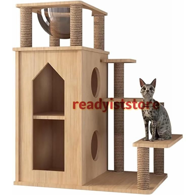 大型猫用