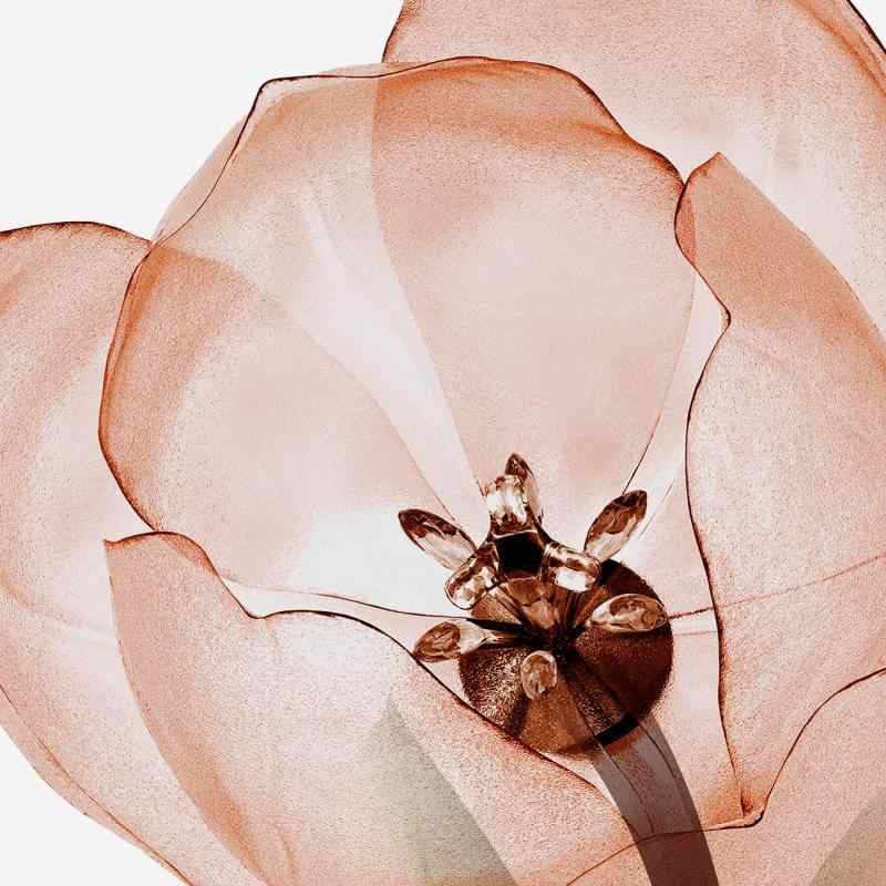 アンティーク額絵　英国製　大きめ　ゴールド金縁額絵　花　あやめ　チューリップ 豪華装飾フレーム】ゴールド額縁 金縁 アンティーク調 ガラス