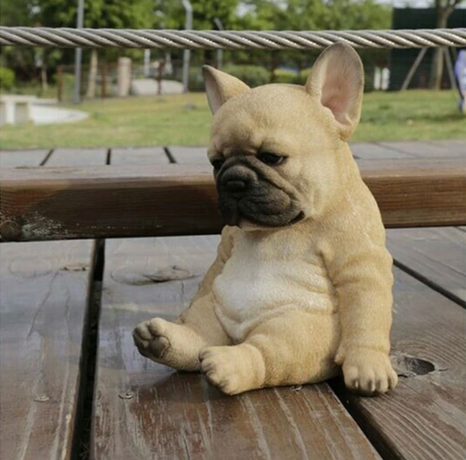 かわいい！フレンチブルドッグの置物 高さ11cm×幅12cm おねだりするわんこ《 フレンチブルドッグ (21.8cm)》〔 WOOBIA ウービア ガーデニング 犬 置物 子犬 北欧 おしゃれ ガーデン雑貨  動物 ガーデニング雑貨 かわいい ナチュラル 庭 玄関 屋外 オブジェ イギリス アニマル ウェルカム エクステリア インテリア 〕 |