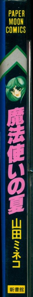 新書館 ペーパームーンコミックス 山田ミネコ 魔法使いの夏 - メルカリ 