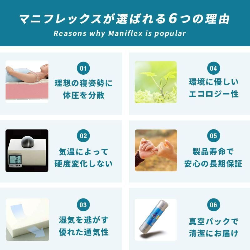 メッシュウィング