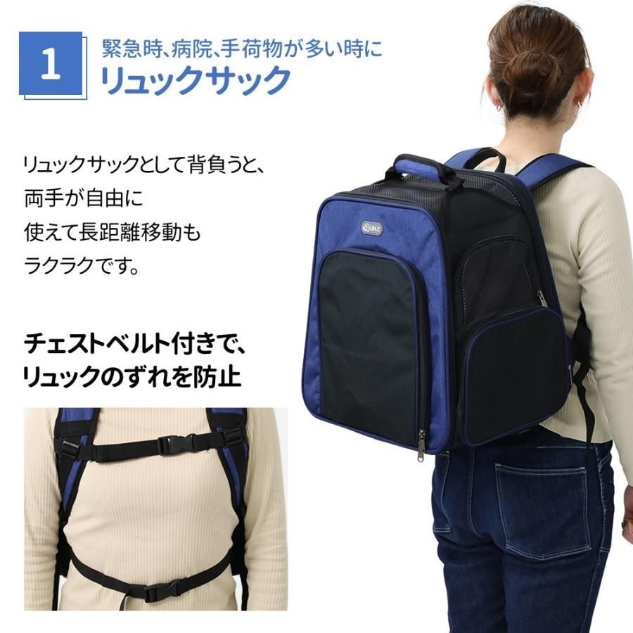 移動 旅行