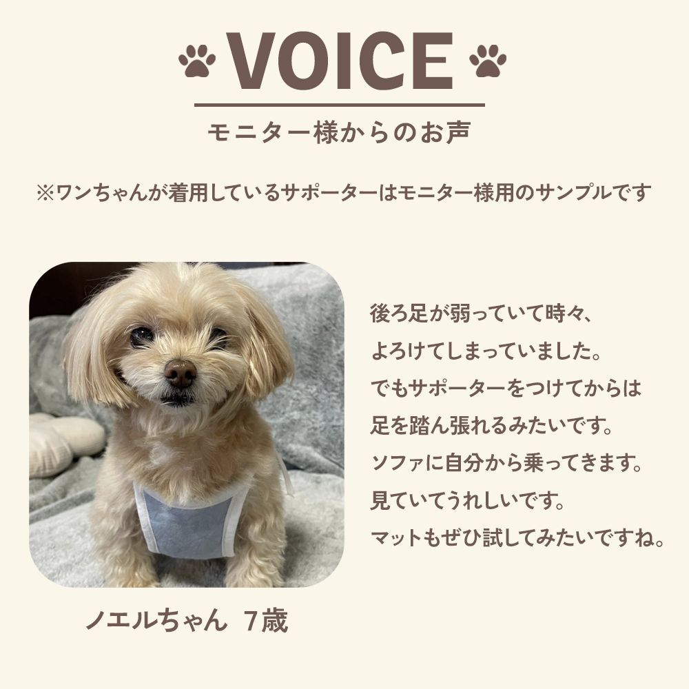 スパオール G0048P-O