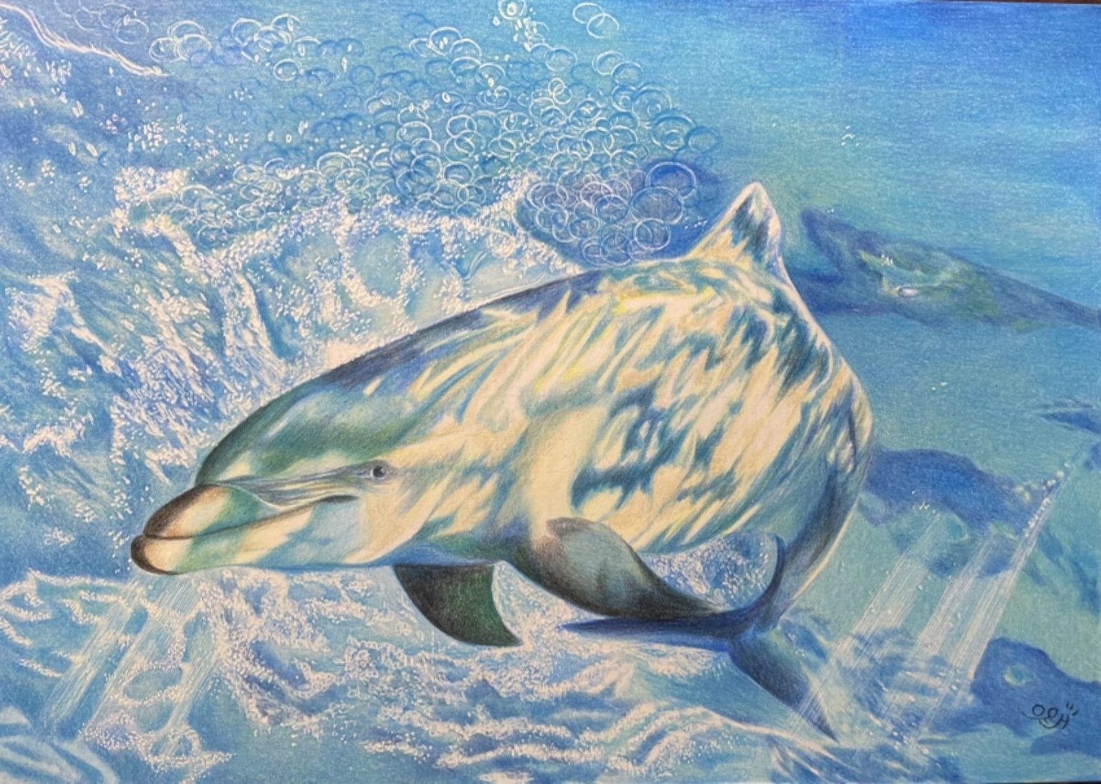 メルカリshops 光とイルカ イルカ 海 絵画 絵 原画 色鉛筆 イラスト プレゼント メルカリshops 光とイルカ イルカ 海 絵画 絵 原画 色鉛筆 イラスト プレゼント