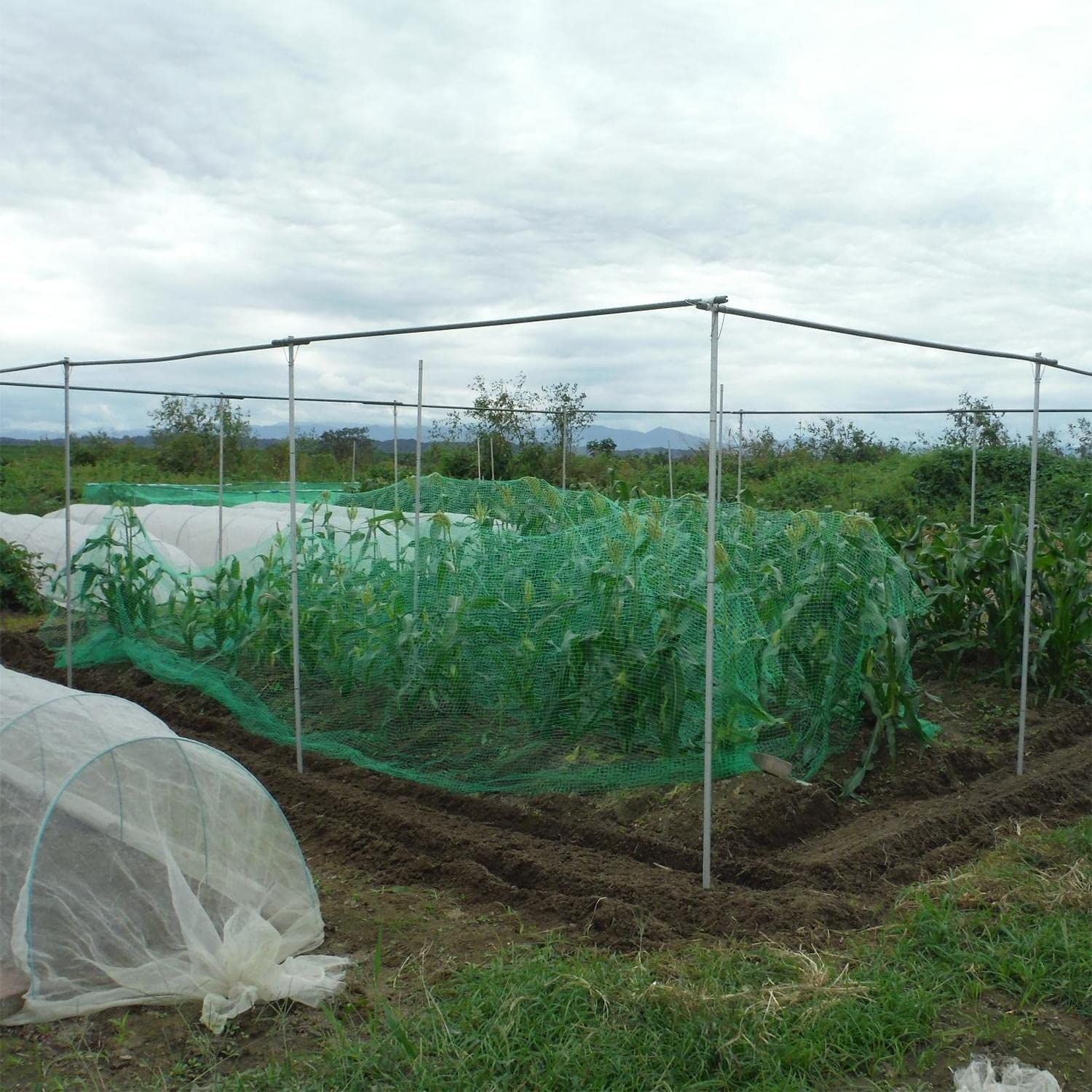 ゴミ置き場ネット 防球ネット 園芸ネット 落下防止 PP養生ネット 荷崩れ防止 多目的ネット 果樹用 防獣ネット PP素材 防鳥ネット 汎用 25mm目 丈夫 安全 7m×10m 固定ロープ付 グリーンネット 収納バッグ付き
