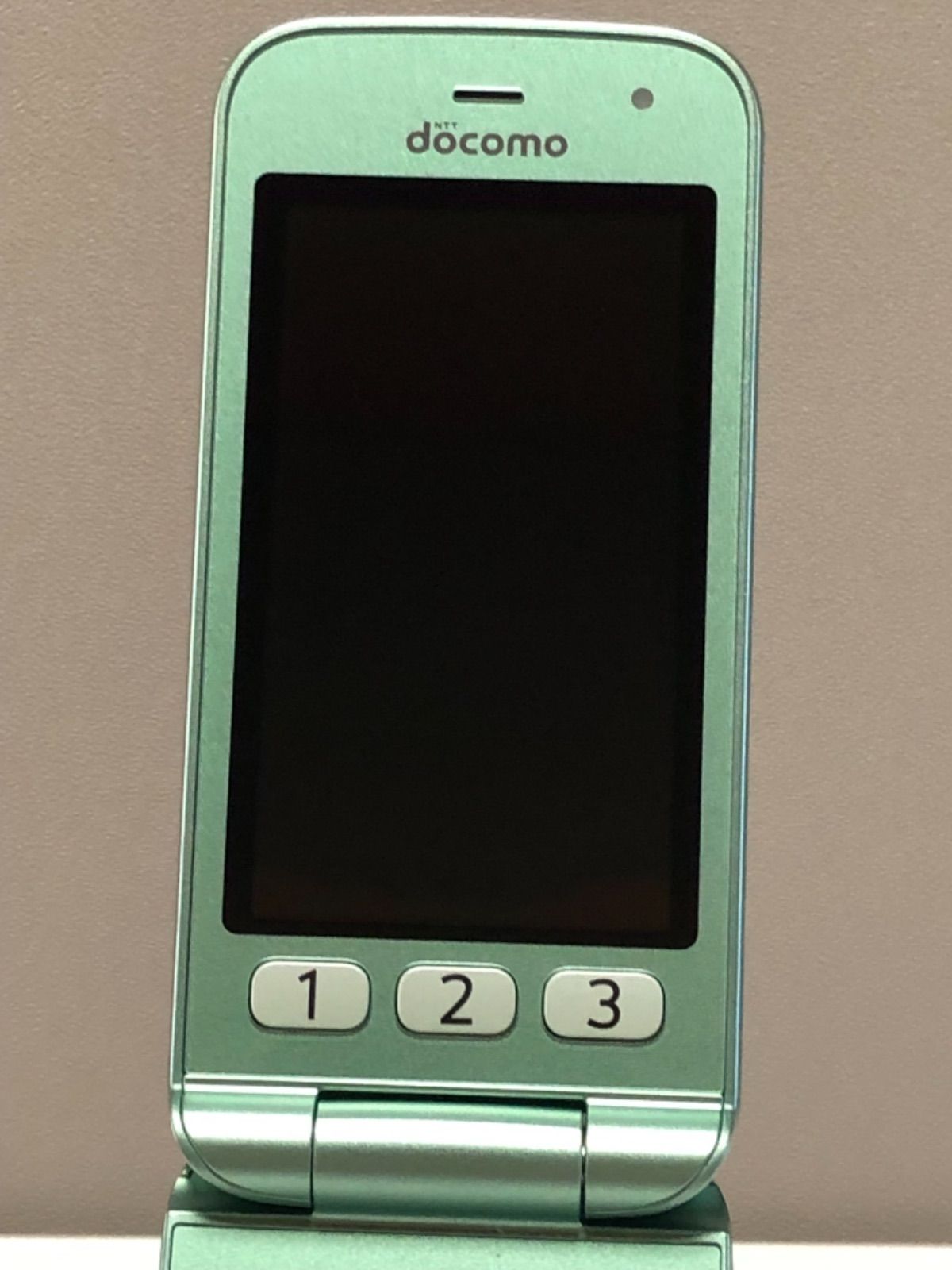 ポケットいっぱい ☆docomo らくらくホン F-02J ミントグリーン #1