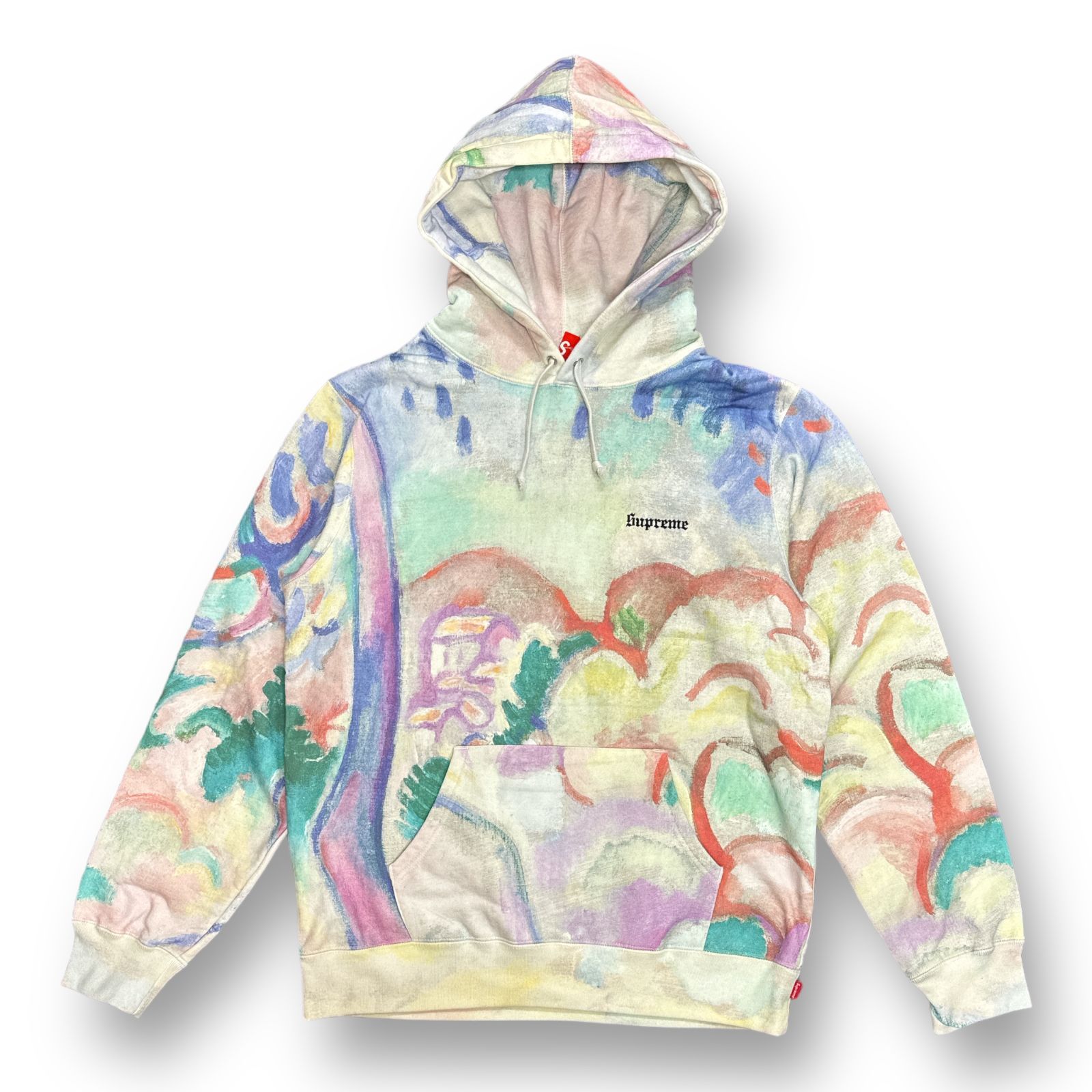 国内正規 新品 Supreme Landscape Hooded Sweatshirt マーブル 