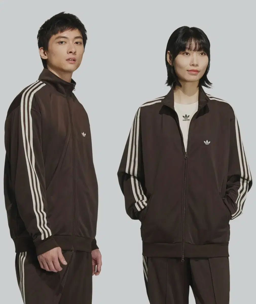 adidas アディダス BB トラックトップス ー ダークブラウン JD5267 S
