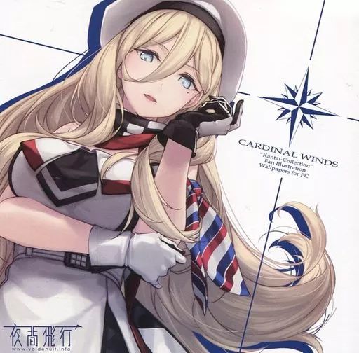 同人CG CDソフト CARDINAL WINDS | 夜間飛行