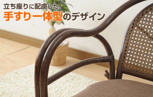 ブラウン TF20-531M