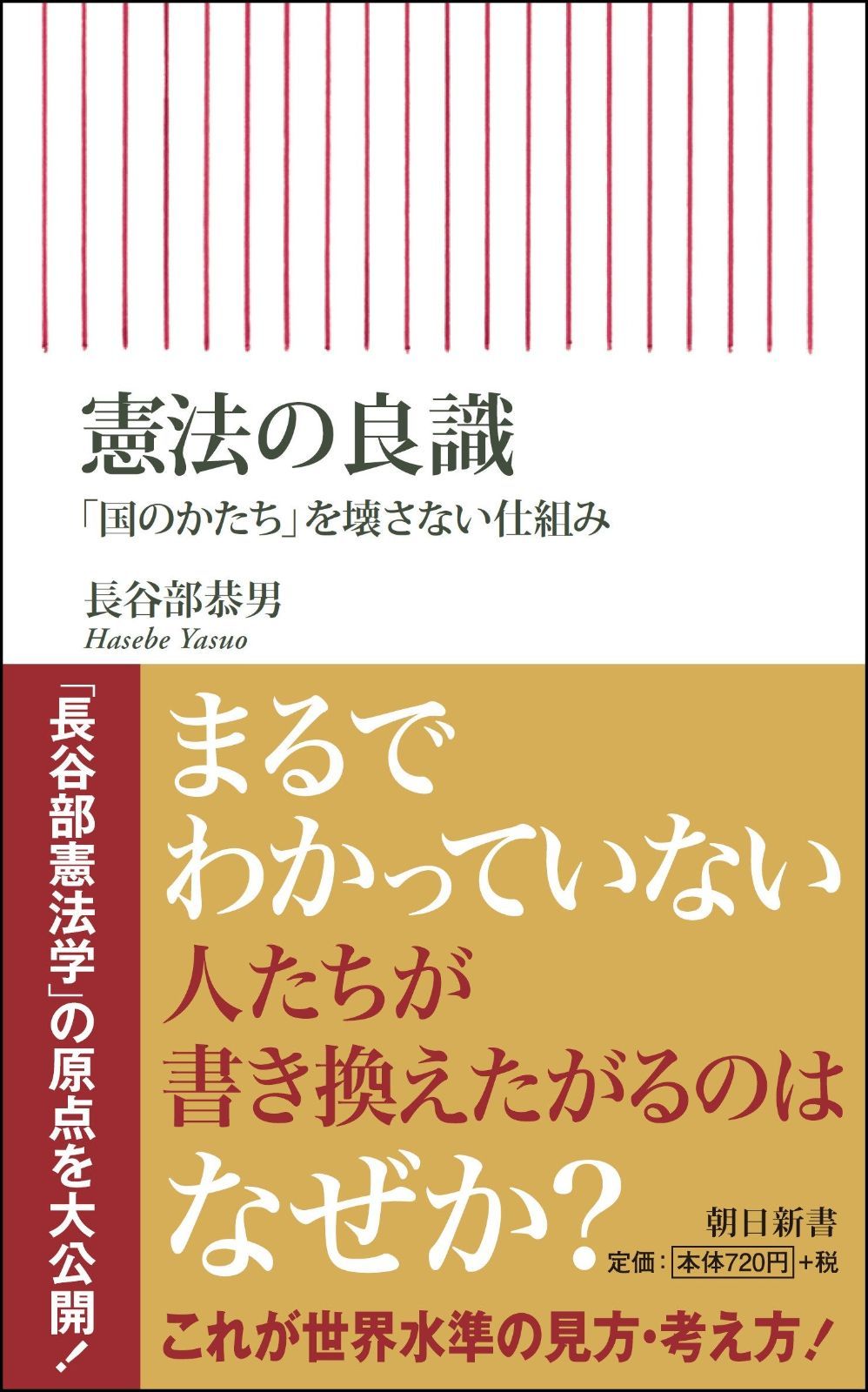 憲法の良識　「国のかたち」を壊さない仕組み (朝日新書)