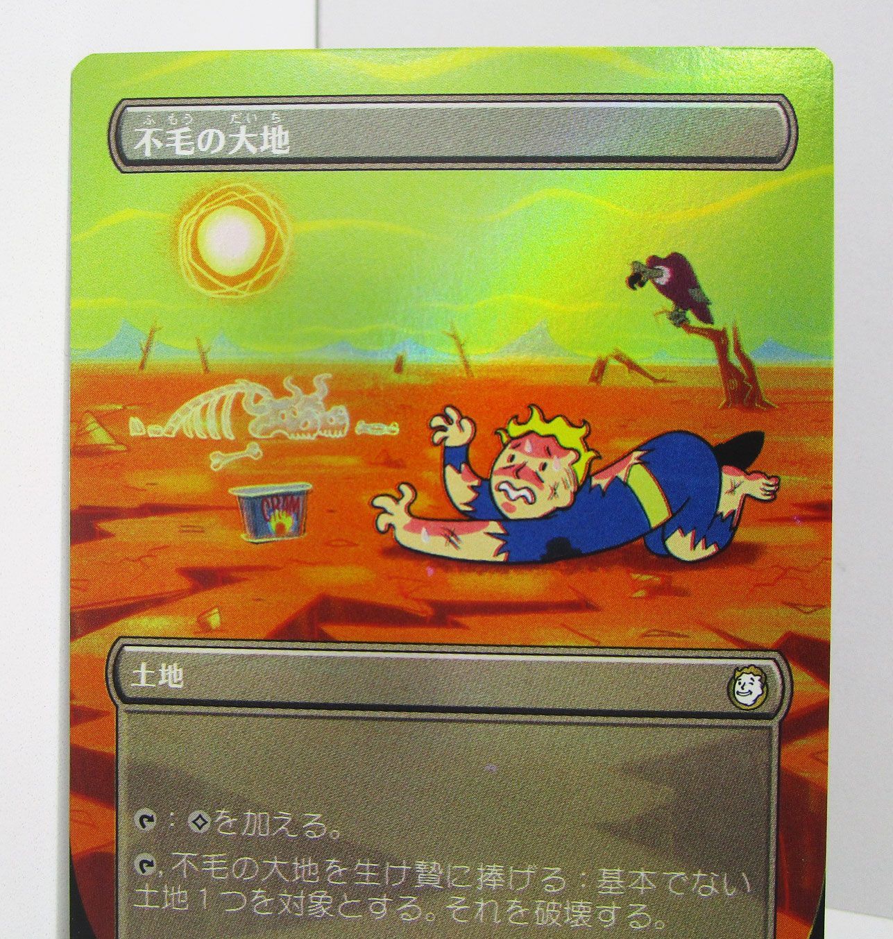 MTG 不毛の大地 ボーダーレスfoil MTG 不毛の大地 ボーダーレス PIP 日本語版 Foil プレイ用