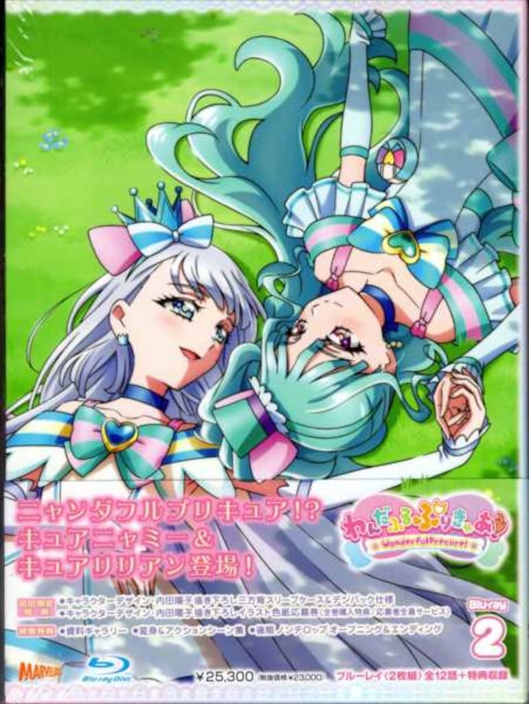 希少 家庭教師ヒットマンREBORN リボアニポストカード 沢田綱吉