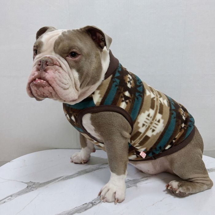 メルカリ フレブル 服 フレンチブルドッグ 5XL ネイティブ柄 フリース
