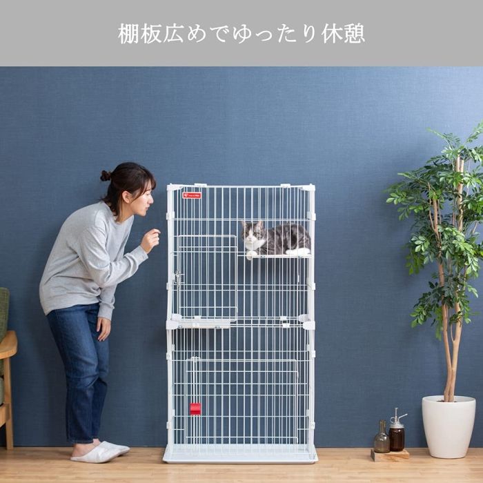 ホワイト