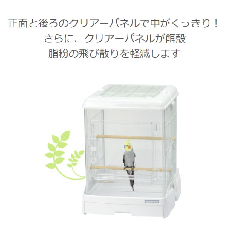 小型インコ 中型インコ