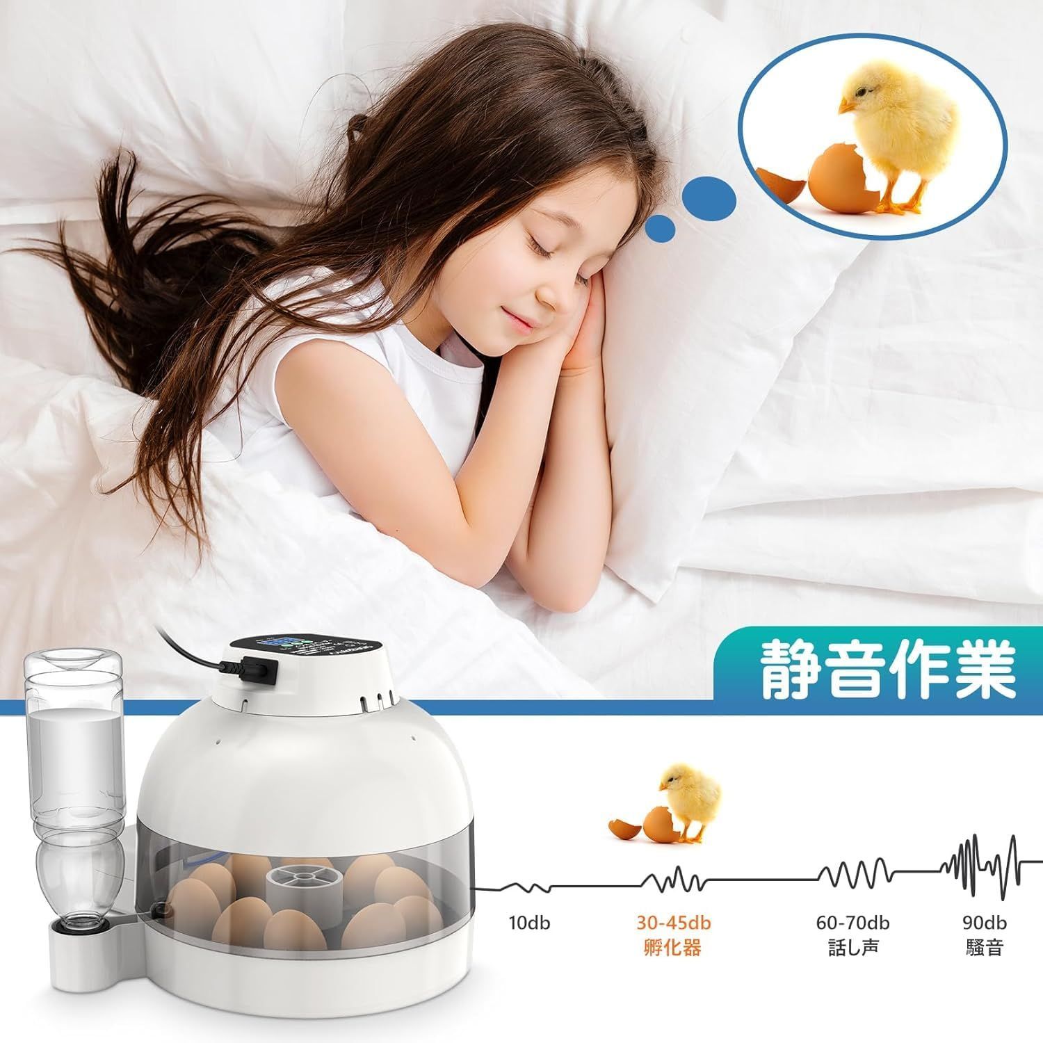 鳥類 家禽