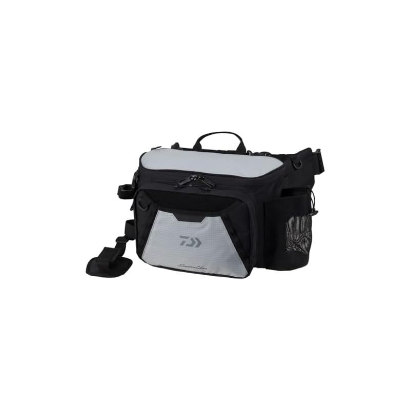 EVERGREEN（エバーグリーン インターナショナル） - GTR-C70MHR-SXF