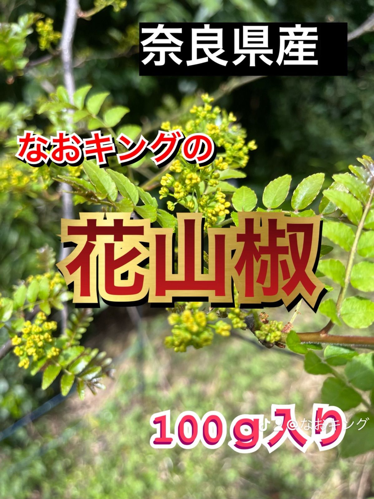 奈良県産 花山椒 約100g 山椒の花。 奈良県産 花山椒 約100g 山椒の花