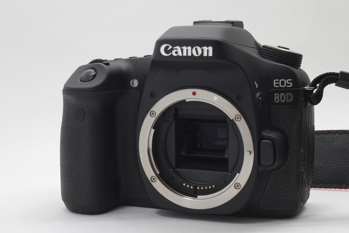 ショット数583回【極上品】キャノン Canon EOS 80D 動作確認済