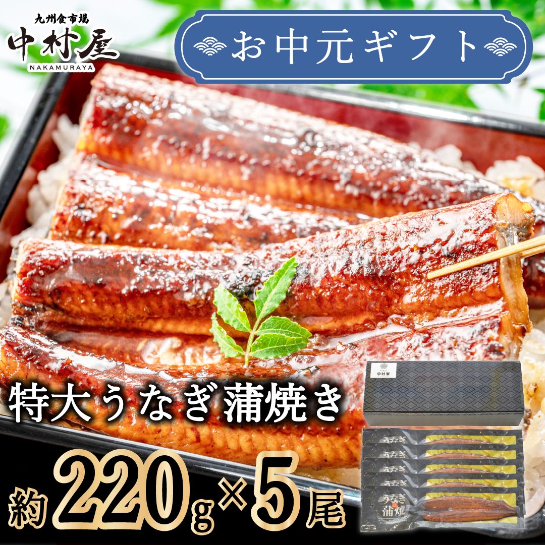 お中元御中元丑の日うなぎ蒲焼きギフト特大220g前後×5尾化粧箱鰻ウナギうなぎ蒲焼蒲焼贈り物