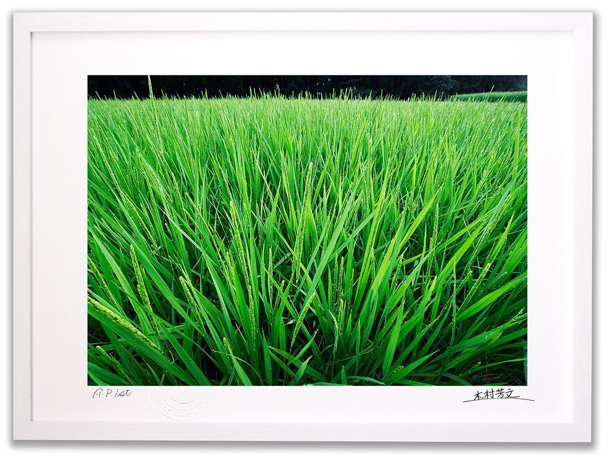 絵画「クリスタルチューリップ」インテリア 壁掛け アートパネル A3 額