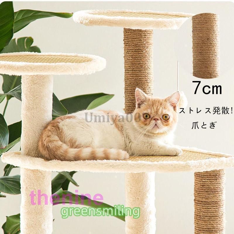 ねこ 爪とぎ