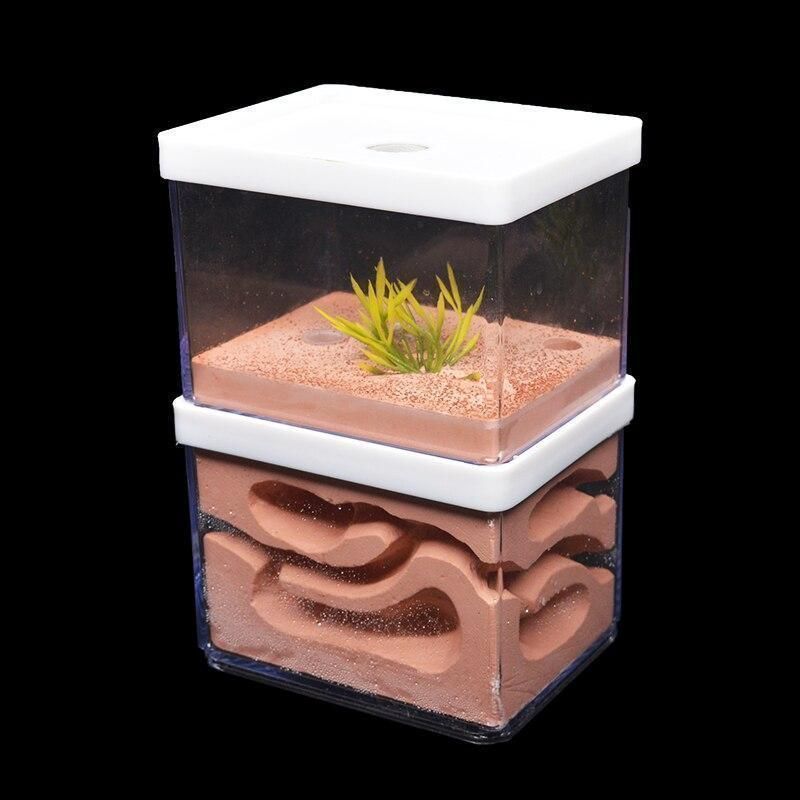 アリ飼育ケース　石膏巣　アリ観察 Amazon.co.jp: アリの巣 石膏製アリの巣 観察キットアリ飼育