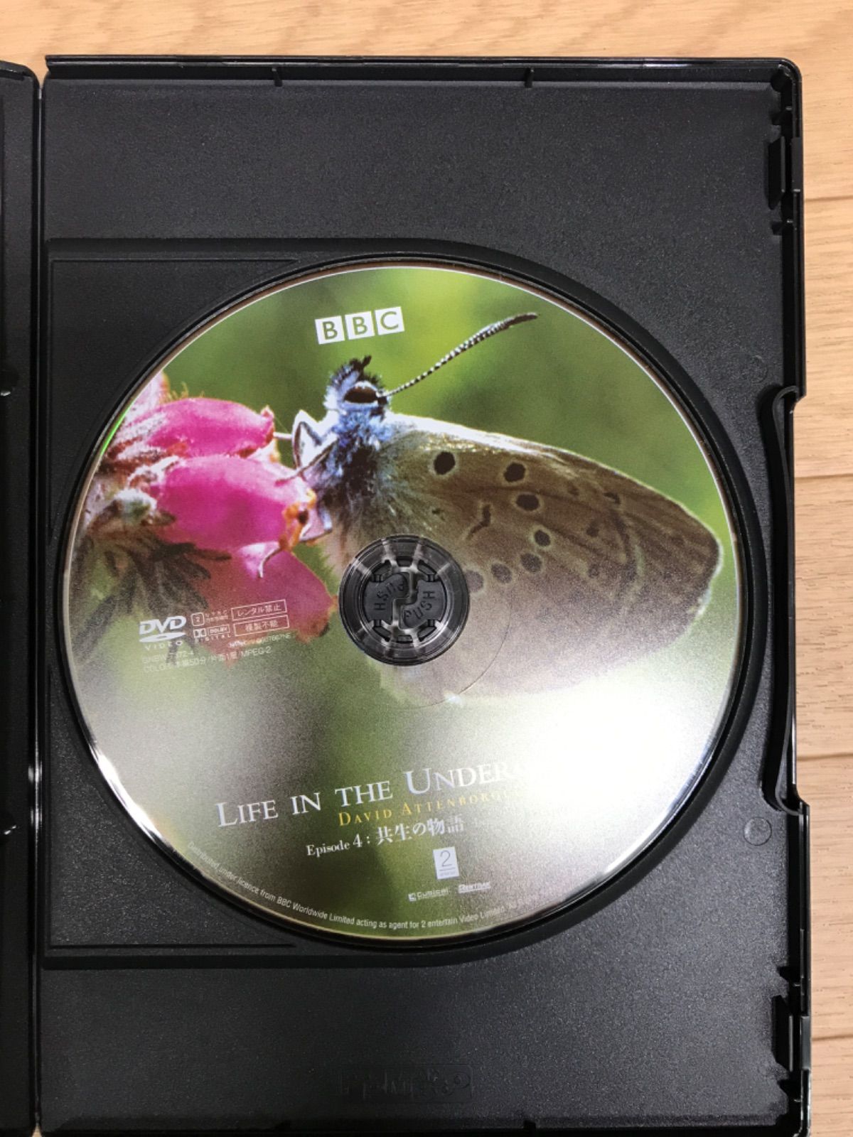 DVD-BOX MW25C