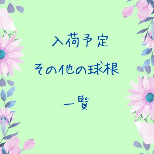 入荷予定 フリチラリア ムスカリ 他 球根一覧