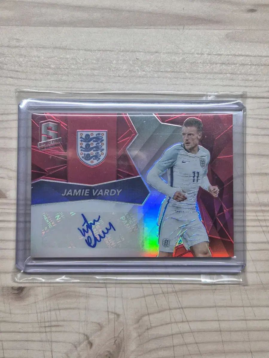 Panini パニーニ ユーロ 2016 ジェイミー 体 サインカード 65