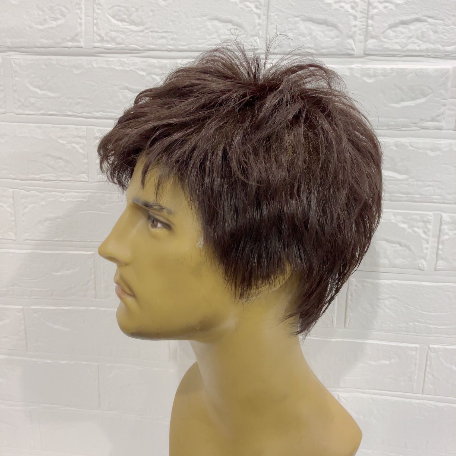 プリシラ 総手植え 医療 ファッション 046