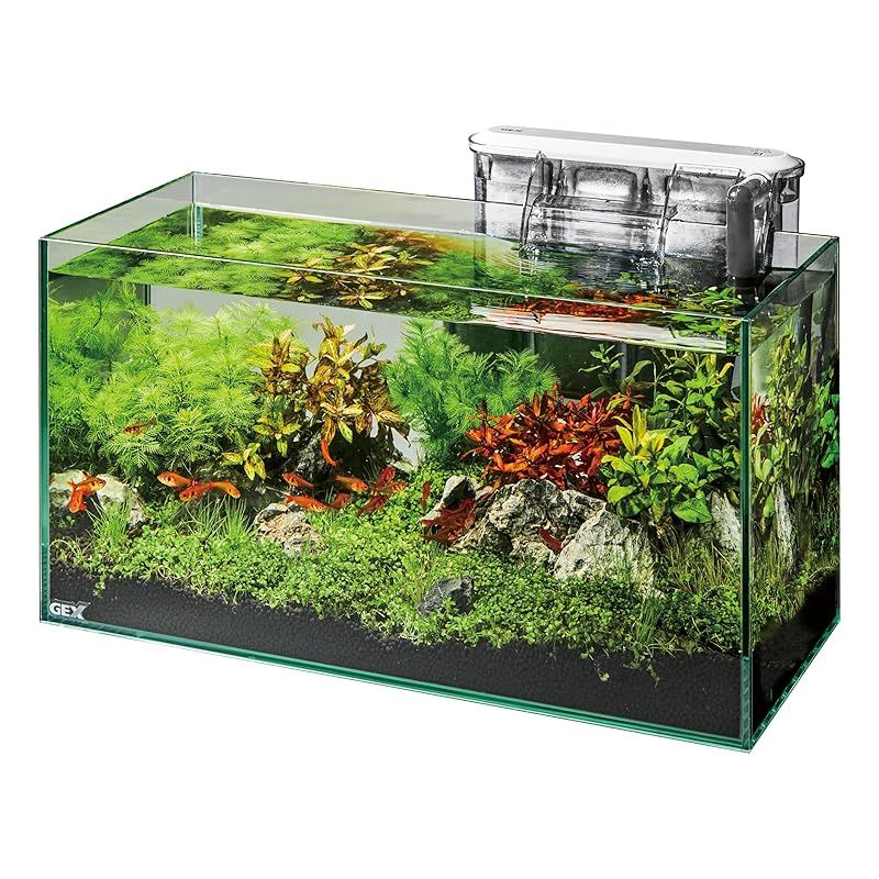 低価，お得 GEX ジェックス グラステリアスリム450 6点セット DCポンプ フレームレス水槽 W45×D20×H22cm 約17L【EC】 0 IoTデバイス(スマートデバイス)