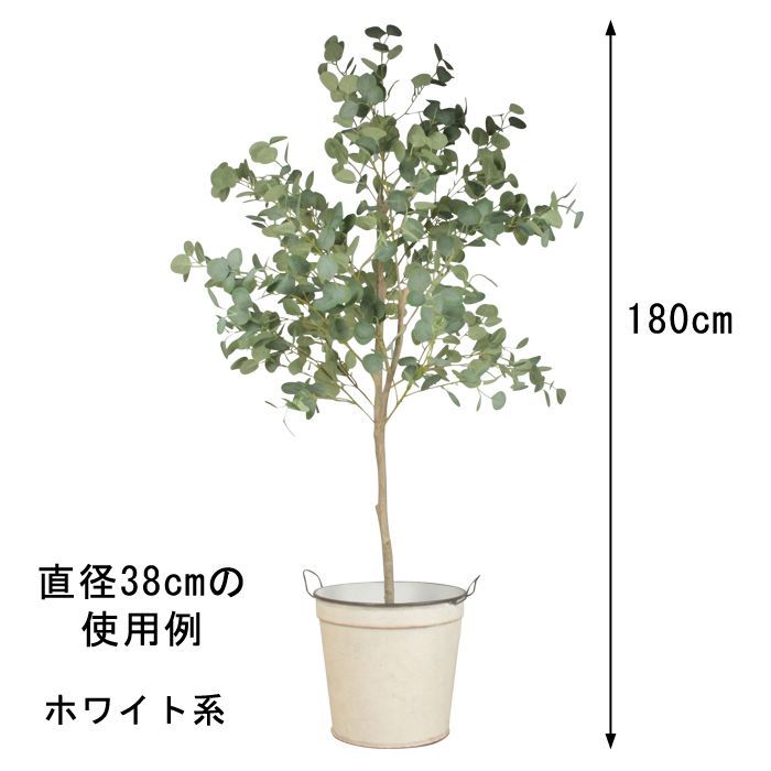 観葉植物