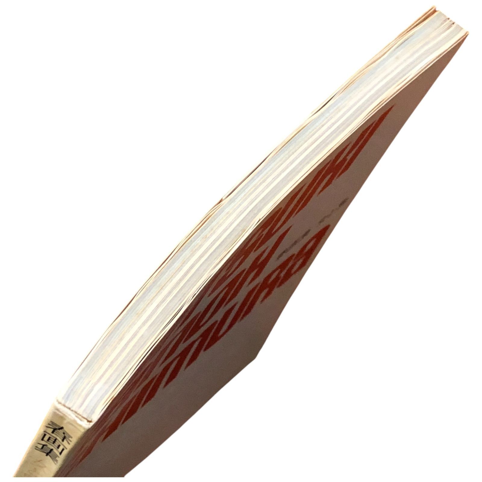 現代写真家シリーズ 今様春画 女と男 立木義浩・加納典明・一村哲也