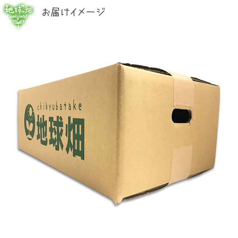 訳あり さつまいも シルクスイート 18kg 化学肥料・農薬不使用 鹿児島