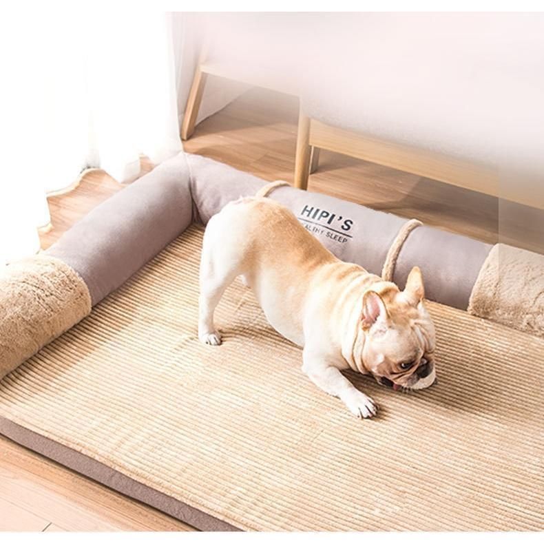 犬 猫