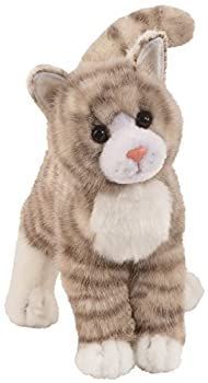 La caresse de Douglas joue la '' peluche 12 ENERGIQUE le chat gris de chat tigre