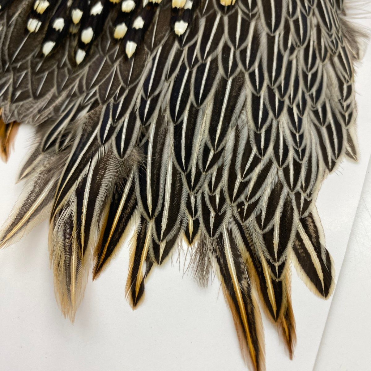 ジャングルコック　フライマテリアル Jungle Cock 公式 ジャングルコック フライマテリアル