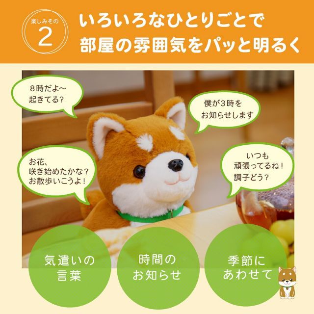 しばいぬ コウタ バンダナ付 こんにちワン！しばいぬコウタ バンダナ
