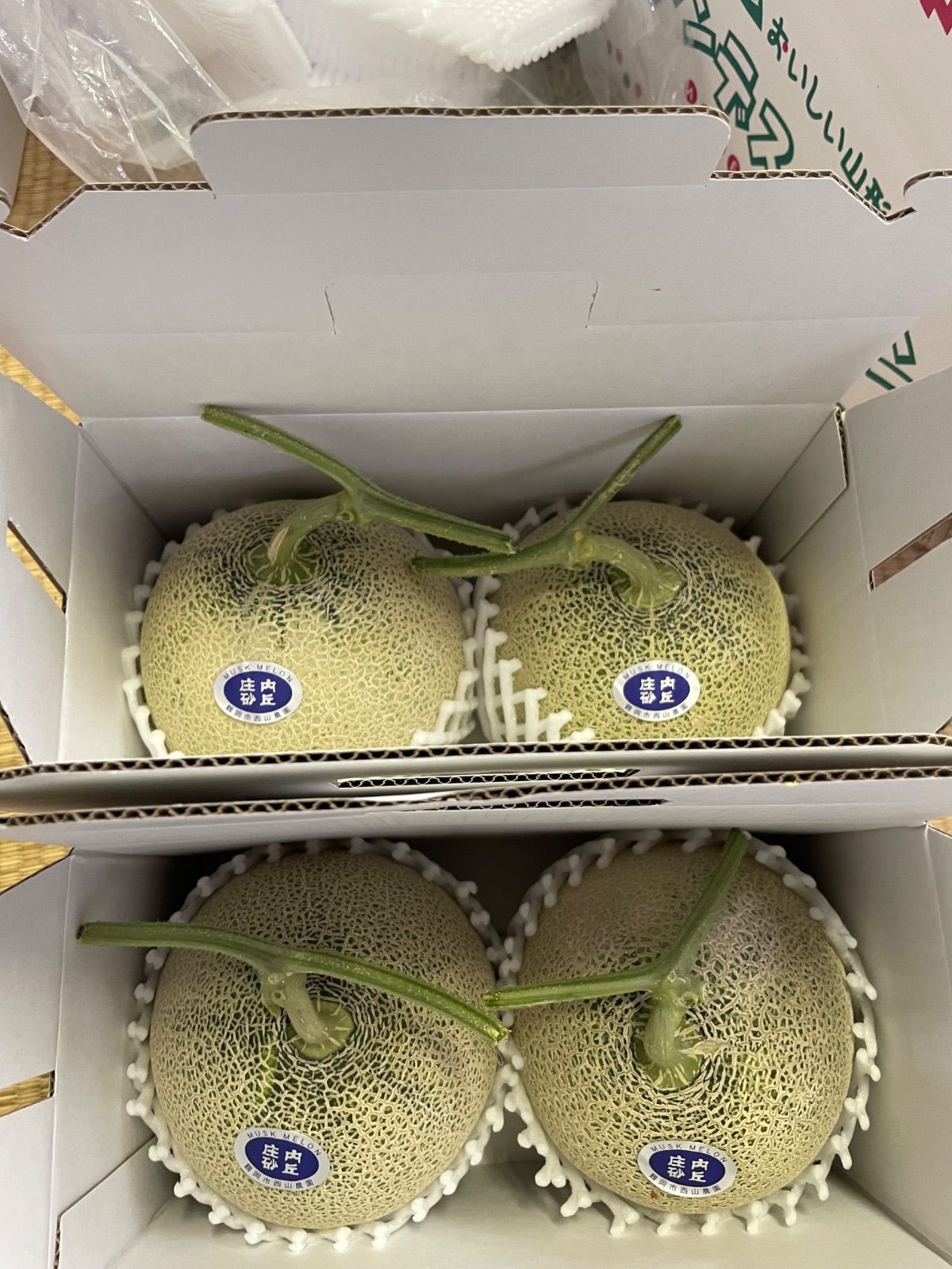 庄内砂丘特産 アンデスメロン 4L2個2箱 贈答用 - メルカリ