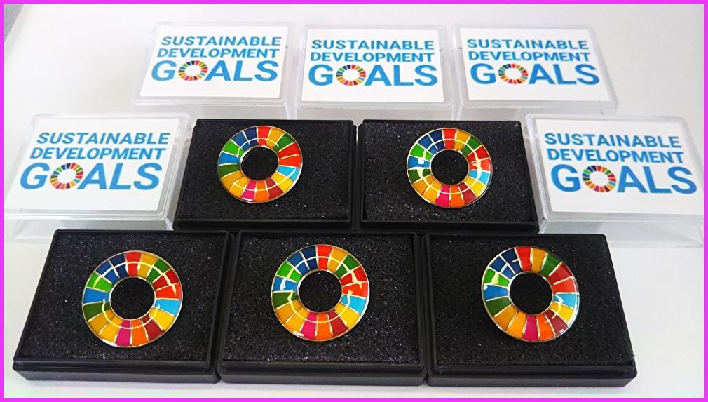 SDGs ピンバッジ　5点　新品未使用
