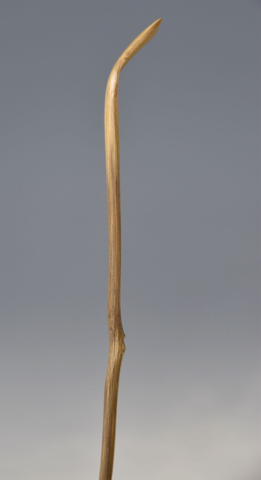 小堀卓巖（箱書花押） 中田嬉撰（造）「銘 徒然 染竹 茶杓