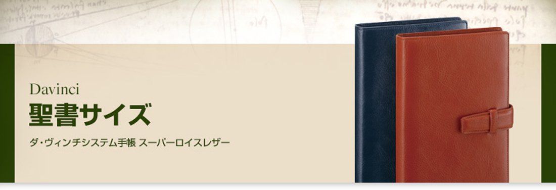 在庫セール】DB3006K ネイビー 聖書 スタンダード ダヴィンチ システム