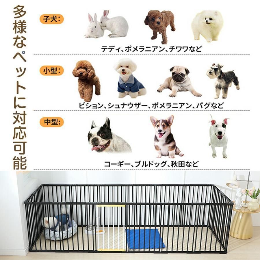 小型犬