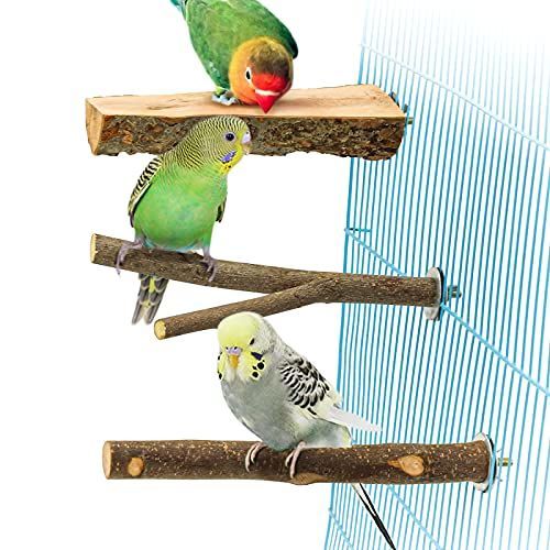 オウムスタンド&インコスタンド&止まり木
