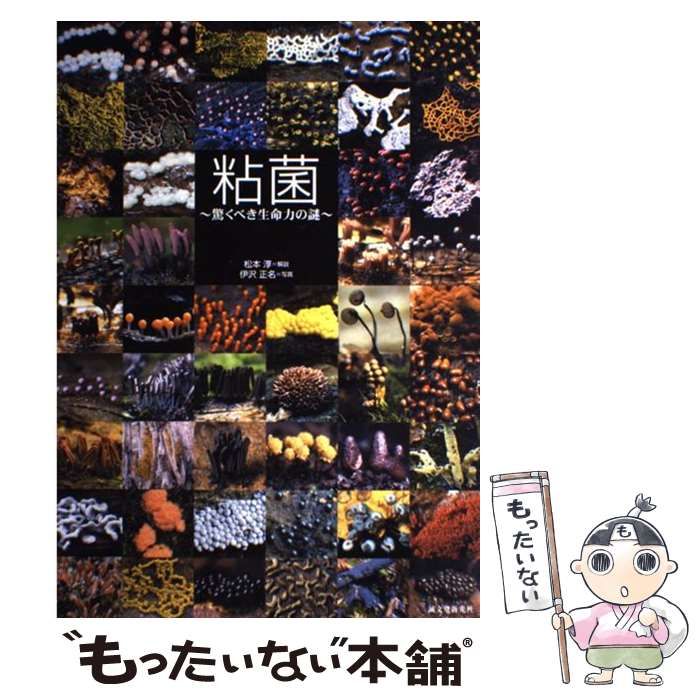 中古】 粘菌 驚くべき生命力の謎 / 松本淳、伊沢正名 / 誠文堂新光社