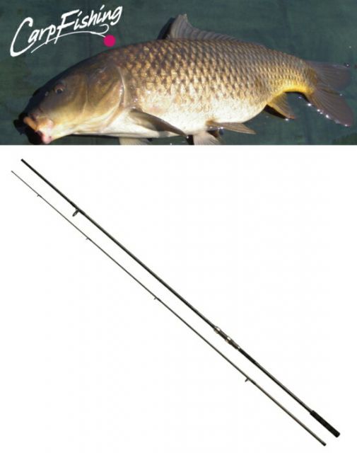 ダイワ マッドドラゴン ユーロスタイル 3-363J / 鯉竿