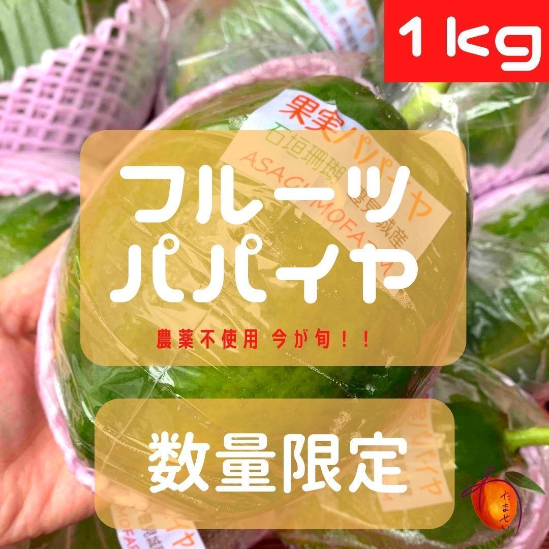 沖縄県産 フルーツパパイヤ 2玉（1㎏前後）国産 果物-0