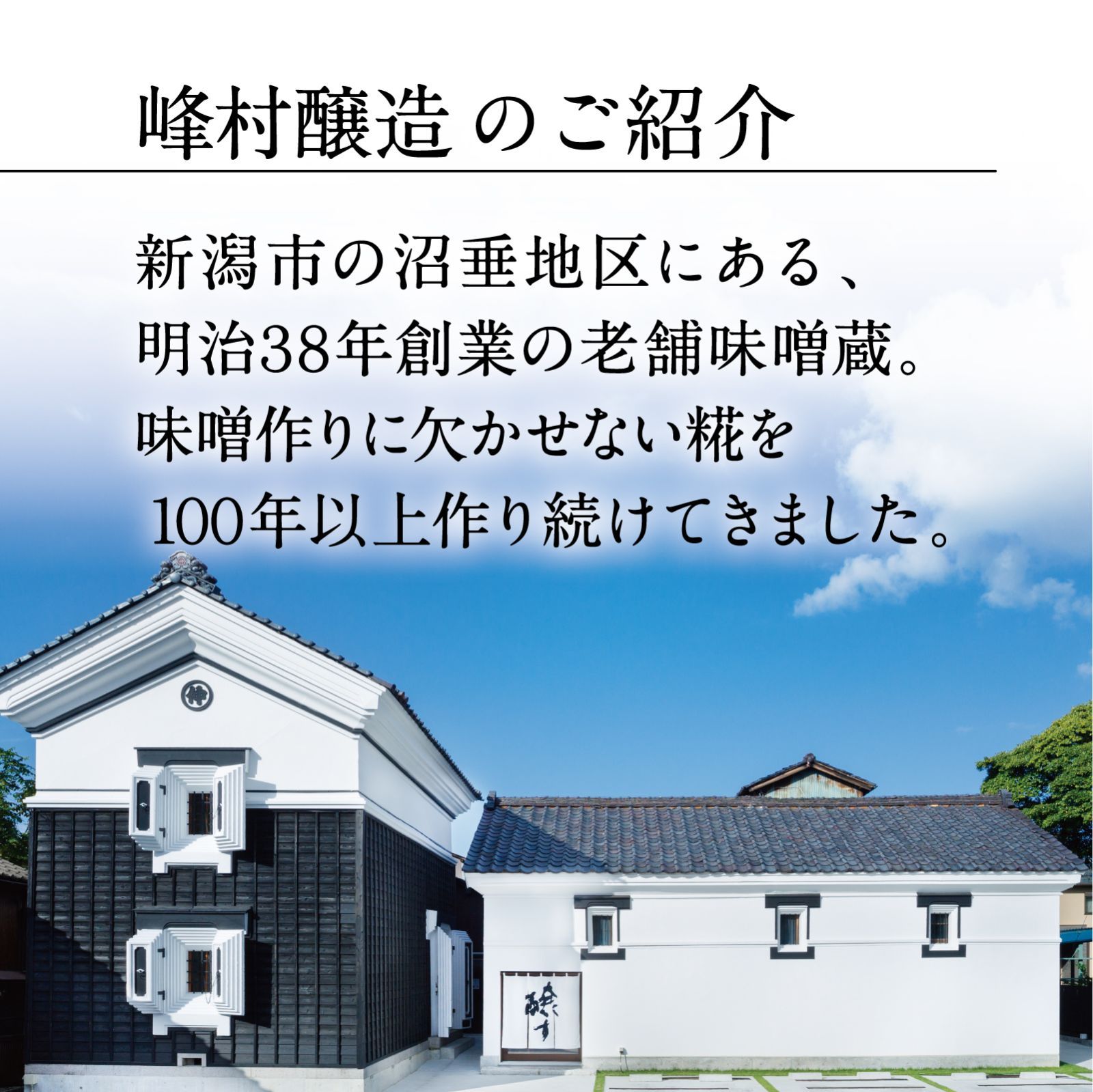 麹菌と乳酸菌の力 発酵あまざけW500mlx3本セット